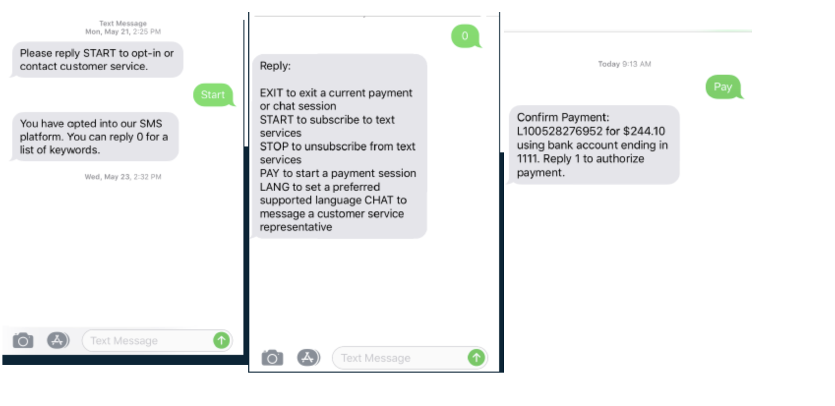 text pay screen shots