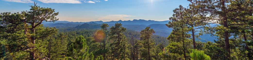 landscape of custer or rapid city south dakota