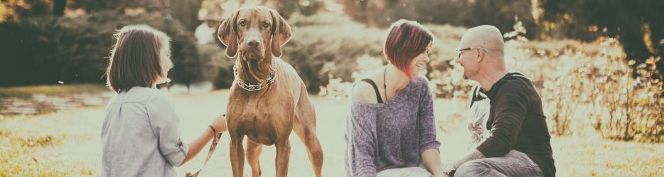 young family with dog playing and looking happy; insurance